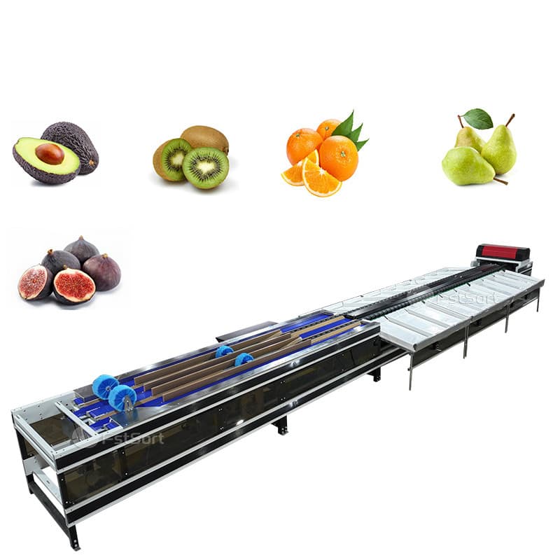 images/1766713278202figs 2.jpg